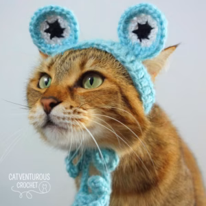 Crochet Cat Hat Pattern Frog